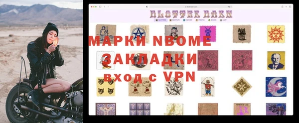 ПСИЛОЦИБИНОВЫЕ ГРИБЫ Вязники