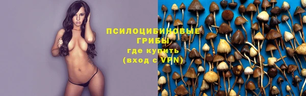 apvp Новозыбков