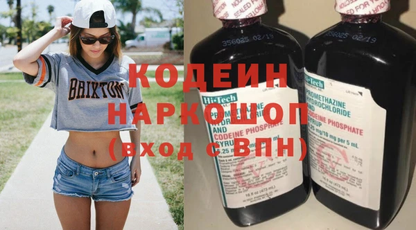 амф Вяземский
