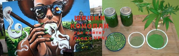 apvp Новозыбков
