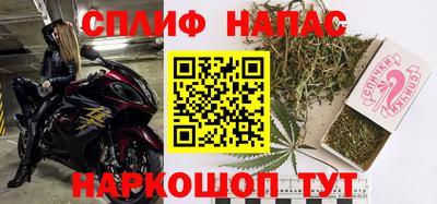 прущие грибы Апшеронск