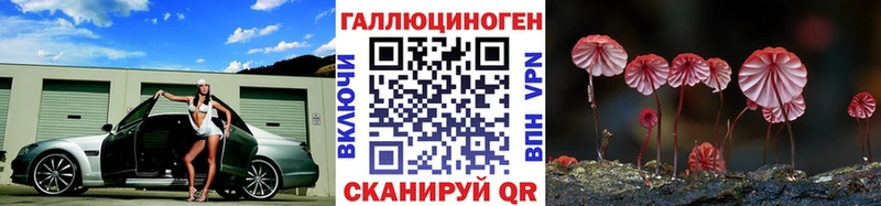 Псилоцибиновые грибы Psilocybe  даркнет наркотические препараты  Удомля 