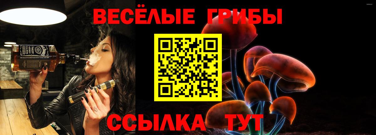 Псилоцибиновые грибы MAGIC MUSHROOMS Удомля