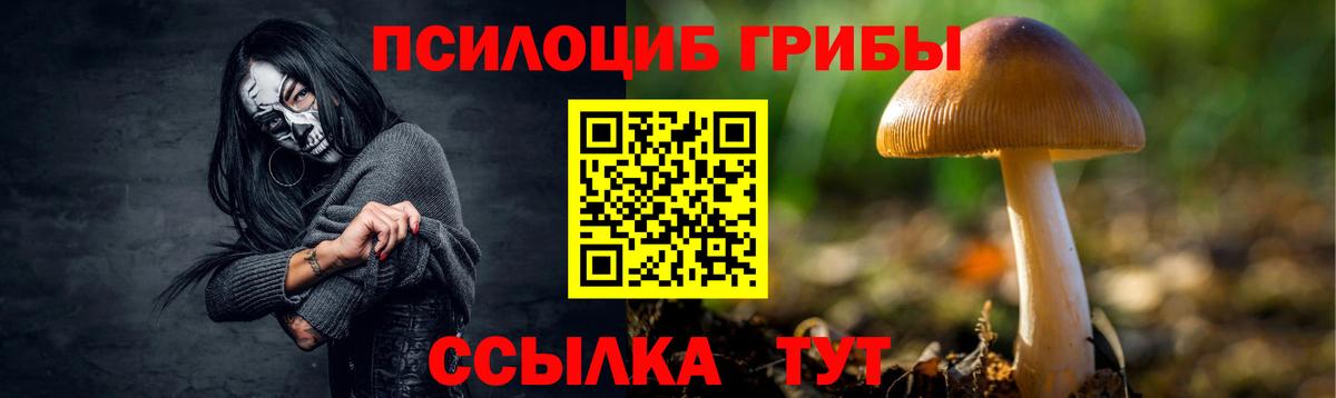 Псилоцибиновые грибы прущие грибы  Удомля 