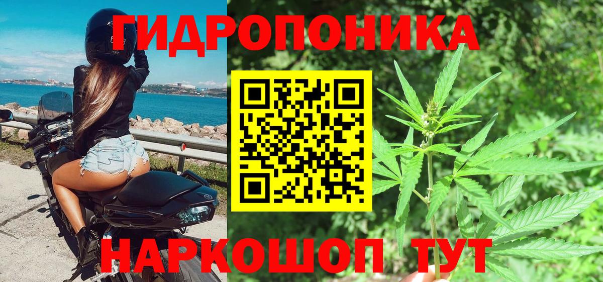 Шишки марихуана Amnesia  Марихуана марихуана  Марихуана индика  Удомля 